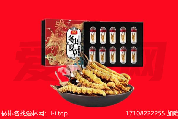梅州市梅江回收虫草.jpg